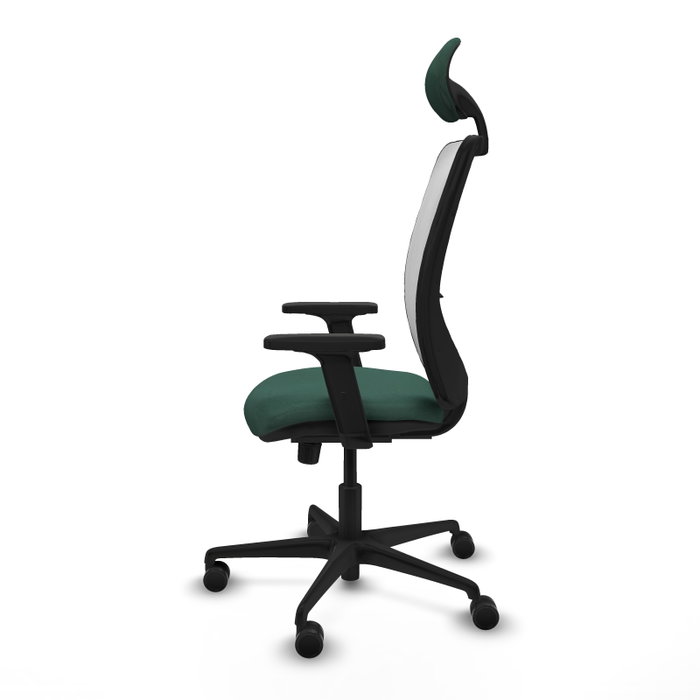 PIQUERAS Y CRESPO Chaise Zulema Synchro Vert foncé et Blanc PIQUERAS Y CRESPO Chaise Zulema Synchro Vert foncé et Blanc