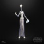 Hasbro Star Wars The Black Series Taun We - 15 cm