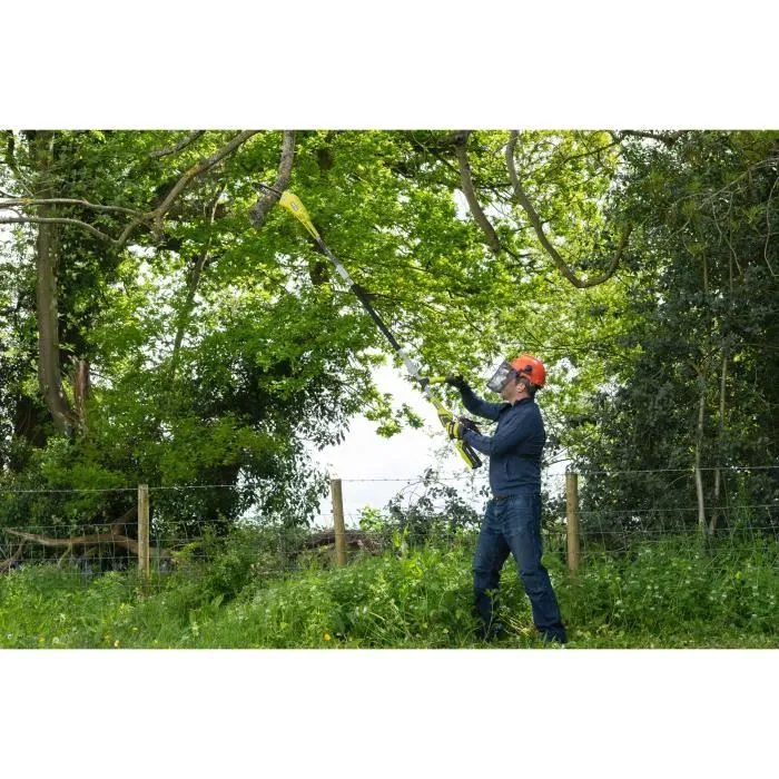 Ryobi RY36PP25A-0 Élagueur sur Perche Télescopique 36V MAXPOWER, Guide de 25 cm, Vitesse de Chaîne 5.5 m/s, Vendue Sans Batterie Ni Chargeur