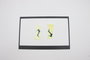 Lenovo T31 Kit de bande adhésive et feuille de bordure RGB pour écran