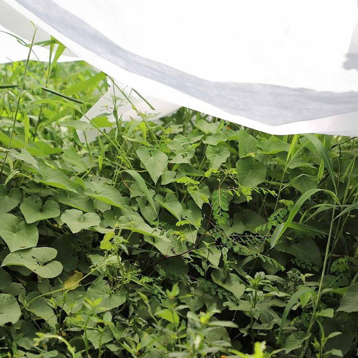 Biotop Toile de protection pour cultures 1,5 x 5 m 30g/m²