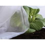 Biotop Toile de protection pour cultures 1,5 x 5 m 30g/m²