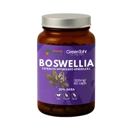 ENERGY FEELINGS Boswellia (ApresFlex) 500 mg, 60 capsules