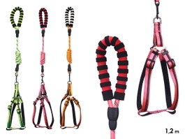 MASCOW Harnais et laisse réfléchissante assortiment de couleurs