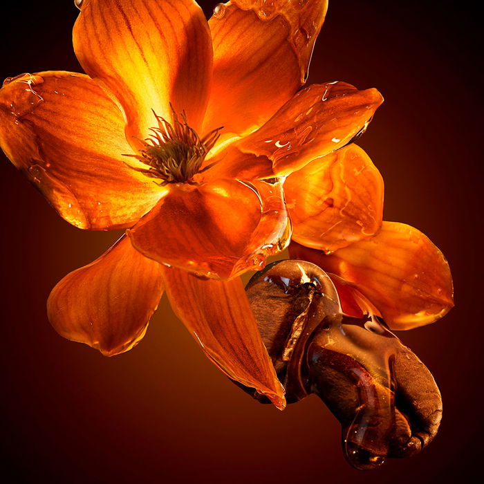 Hugo Boss-Boss THE SCENT FOR HER INTENSE Eau de Parfum Vaporisateur 30 ml Hugo Boss-Boss THE SCENT FOR HER INTENSE Eau de Parfum Vaporisateur 30 ml