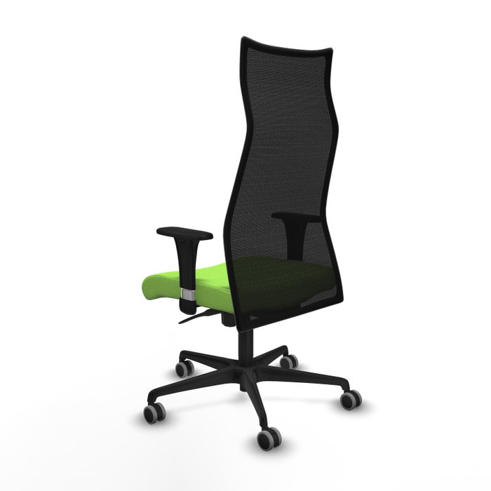 Piqueras y Crespo Chaise de Bureau Albacete Pistache et Noir