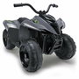 Quad électrique Injusa Kawasaki Gris