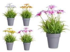 IBERGARDEN Maceta Flor Abierta Surt 4 - Lot de 24