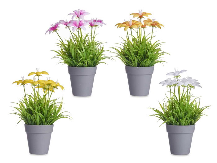 IBERGARDEN Maceta Flor Abierta Surt 4 - Lot de 24