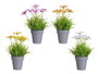 IBERGARDEN Maceta Flor Abierta Surt 4 - Lot de 24