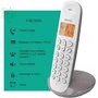 Logicom ILOA 155T SOLO Téléphone fixe sans fil DECT avec répondeur, mains libres et mémoire d'appel - Couleur taupe