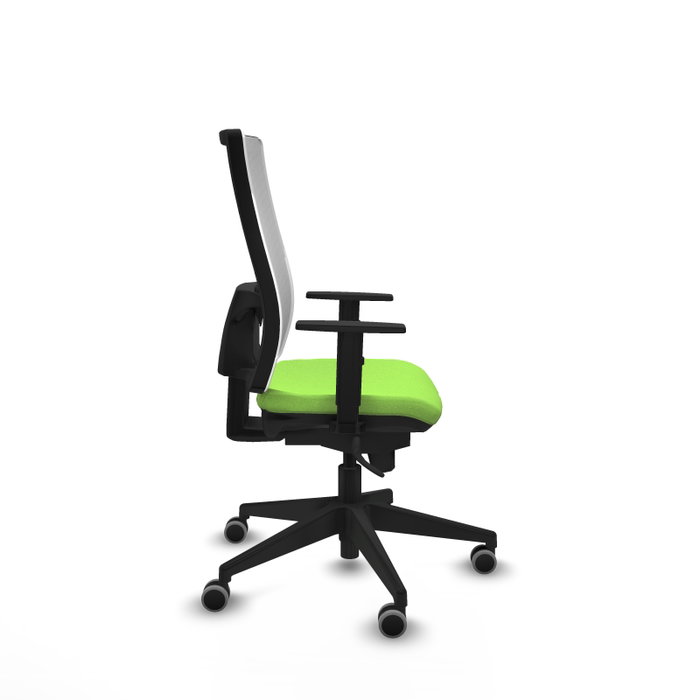 PIQUERAS Y CRESPO Chaise de bureau Horna Pistache avec mécanisme synchrone PIQUERAS Y CRESPO Chaise de bureau Horna Pistache avec mécanisme synchrone