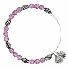 Alex And Ani Bracelet Morado Ajustable