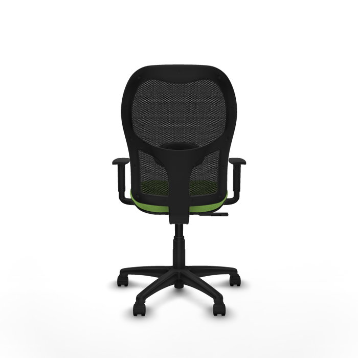 PIQUERAS Y CRESPO Chaise Alocén Synchro Vert pistache et Noir
