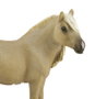 COLLECTA - Figurine de cheval mini Falabella Palomino - M - 88820