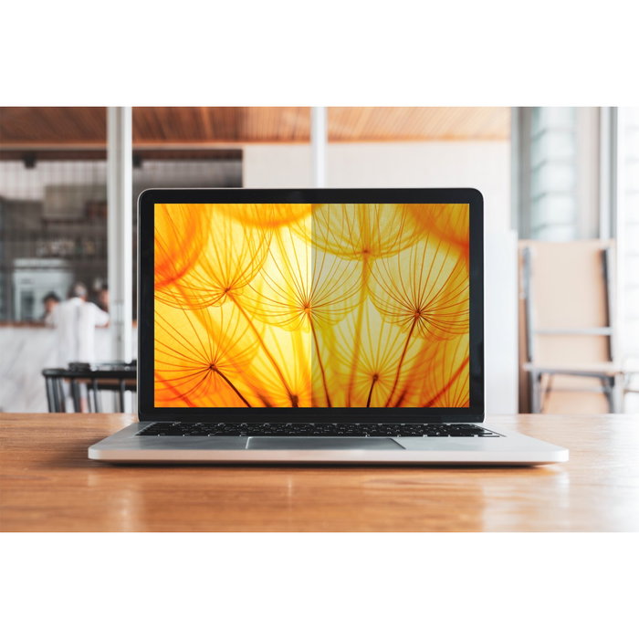3M Filtre de confidentialité Bright Screen pour Apple MacBook Pro 16 pouces 2021, Noir 3M Filtre de confidentialité Bright Screen pour Apple MacBook Pro 16 pouces 2021, Noir