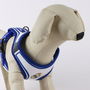 Harnais pour Chien Real Madrid C.F. Bleu M/L