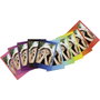 Fujifilm instax mini Film Rainbow