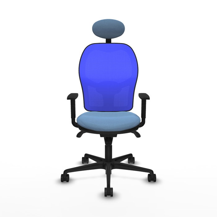 Piqueras y Crespo Chaise de Bureau Ergonomique 1D036N1 Bleu ciel