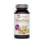 MUNDONATURAL MACAFORCE 60 capsules