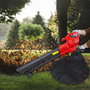 WOLFPACK LINEA PROFESIONAL Aspirateur-souffleur de jardin 3000W