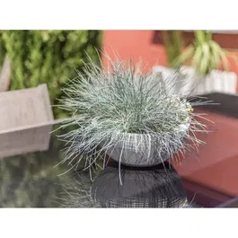 EDA Graphit Up Pot de jardin Ø 30 cm (5,5 L) - Blanc Cérusé pour intérieur/extérieur