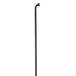 DT Swiss Caja 100 Radios Dt Champion Negro 285 X 2