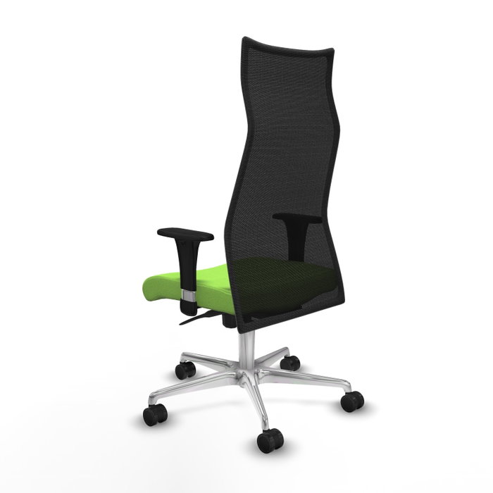 Piqueras y Crespo Chaise de Bureau Albacete XL Pistache et Noir Piqueras y Crespo Chaise de Bureau Albacete XL Pistache et Noir