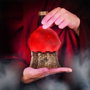 Enhance Lampe Sorcerer's Potion Rouge
