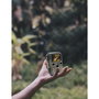 Braun Scouting Cam Black800 Mini Camouflage