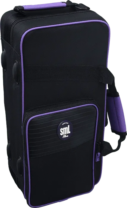 SML Saxophone Soprano Courbé Sc620 SML, Sib, Laqué Doré, avec Kit BG SML Saxophone Soprano Courbé Sc620 SML, Sib, Laqué Doré, avec Kit BG