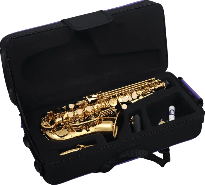 SML Saxophone Soprano Courbé Sc620 SML, Sib, Laqué Doré, avec Kit BG SML Saxophone Soprano Courbé Sc620 SML, Sib, Laqué Doré, avec Kit BG