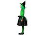 Déguisement de Sorcière Verte avec Jupe de Tulle et Chapeau pour Fille, Âge 10-12 Ans - Composition: Polyester - Thème: Halloween