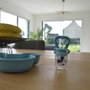 Thermobaby Grignoteur de fruits et légumes Mickey - Bleu - Silicone