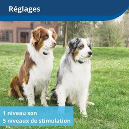 Petsafe Stay & Play - Collier et clôture anti-fugue sans fil pour chien - Portable, rechargeable, portée 64 m