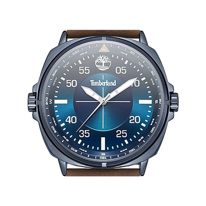 Montre Homme Timberland TDWGA2132001