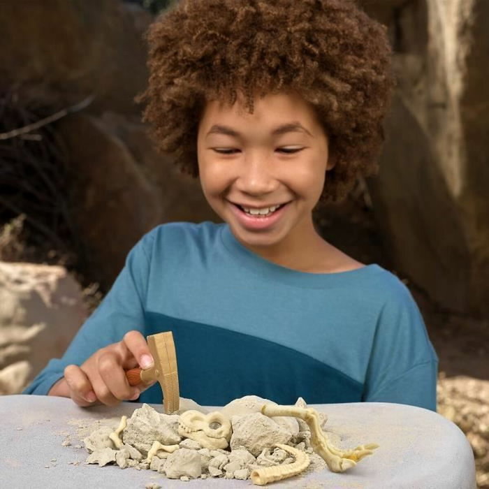 Zuru Robo Alive Dino Fossil Find - Jeu de fouille de fossiles de dinosaures Zuru Robo Alive Dino Fossil Find - Jeu de fouille de fossiles de dinosaures