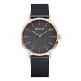 Montre Femme Bering 13436-367