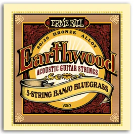 ERNIE BALL Jeu de cordes Earthwood Bluegrass pour banjo 5 cordes 9-20/9