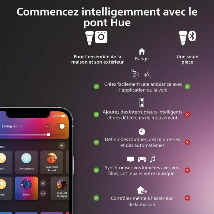 Philips Hue Câble anti-chute pour caméra Hue Secure Noir