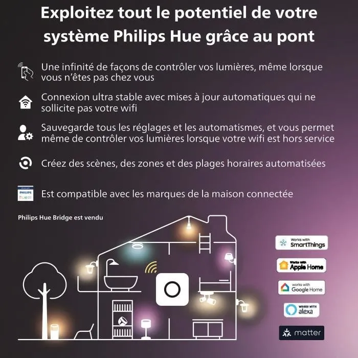 Philips Hue Hue Secure - Câble anti-chute pour caméra, sécurité contre les chutes, fixation facile, usage intérieur, pour installations à plus de 2 m