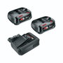 Bosch Pack POWER FOR ALL 18V avec chargeur AL 18V-44 et 2 batteries 2,5 Ah