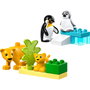 LEGO DUPLO Familles d'animaux sauvages : pingouins et lions 10442