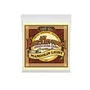 ERNIE BALL Jeu de cordes acoustique folk nylon Earthwood 28-42