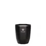 Dr. Vranjes Firenze Bougie parfumée Ambra 80 g
