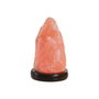 Lampe de bureau Home ESPRIT Rose