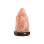 Lampe de bureau Home ESPRIT Rose