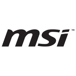 MSI PRO MP245PHG E14 23,8 pouces Full HD 144Hz IPS Noir