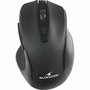 Souris Bluestork