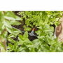 Gardena Kit d'Arrosage Automatique pour Balcon et Terrasse 1407-20 avec Pompe 14V et 10m de Tuyau